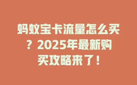 蚂蚁宝卡流量怎么买？2025年最新购买攻略来了！