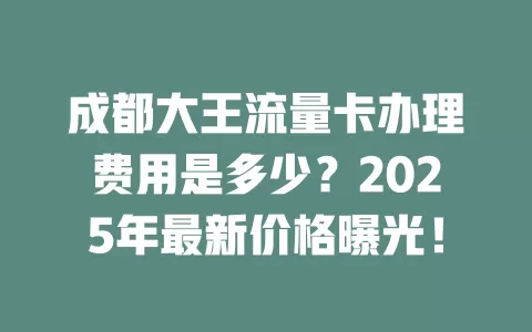 成都大王流量卡办理费用是多少？2025年最新价格曝光！