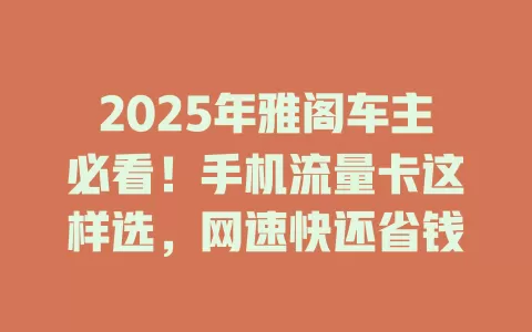 2025年雅阁车主必看！手机流量卡这样选，网速快还省钱