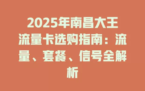 2025年南昌大王流量卡选购指南：流量、套餐、信号全解析