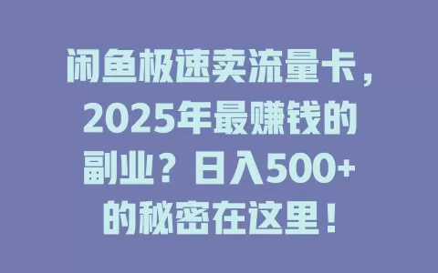 闲鱼极速卖流量卡，2025年最赚钱的副业？日入500+的秘密在这里！