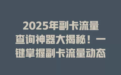 2025年副卡流量查询神器大揭秘！一键掌握副卡流量动态