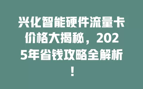 兴化智能硬件流量卡价格大揭秘，2025年省钱攻略全解析！