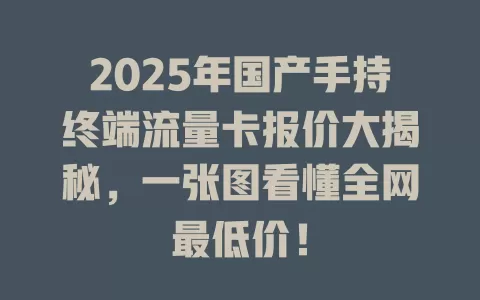 2025年国产手持终端流量卡报价大揭秘，一张图看懂全网最低价！
