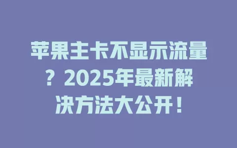 苹果主卡不显示流量？2025年最新解决方法大公开！