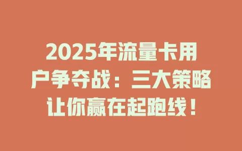2025年流量卡用户争夺战：三大策略让你赢在起跑线！