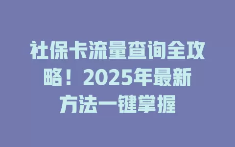 社保卡流量查询全攻略！2025年最新方法一键掌握
