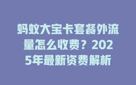 蚂蚁大宝卡套餐外流量怎么收费？2025年最新资费解析