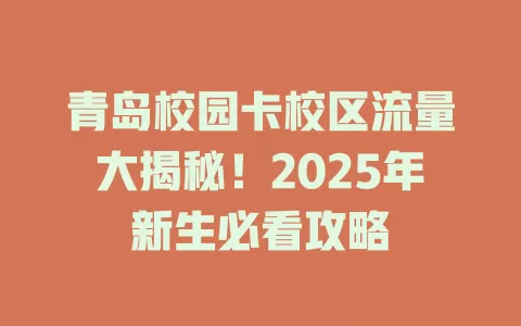 青岛校园卡校区流量大揭秘！2025年新生必看攻略