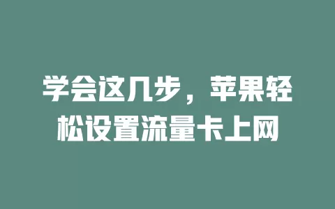 学会这几步，苹果轻松设置流量卡上网