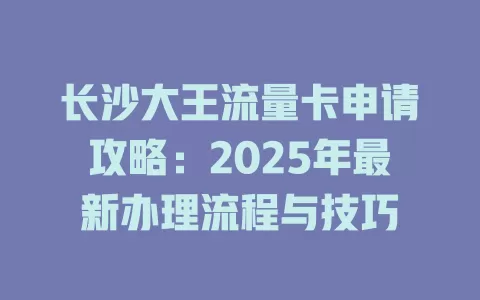 长沙大王流量卡申请攻略：2025年最新办理流程与技巧