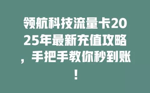 领航科技流量卡2025年最新充值攻略，手把手教你秒到账！