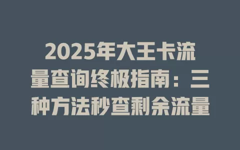 2025年大王卡流量查询终极指南：三种方法秒查剩余流量