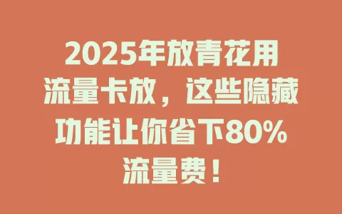 2025年放青花用流量卡放，这些隐藏功能让你省下80%流量费！