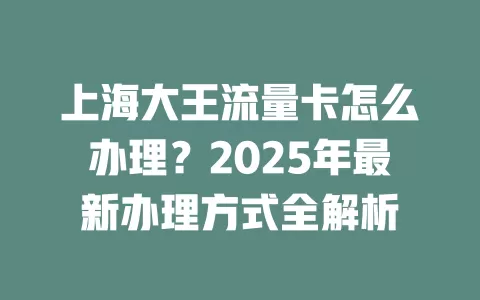上海大王流量卡怎么办理？2025年最新办理方式全解析