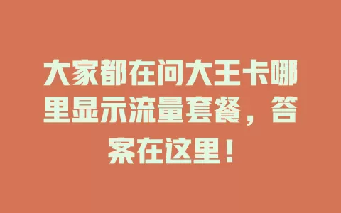 大家都在问大王卡哪里显示流量套餐，答案在这里！