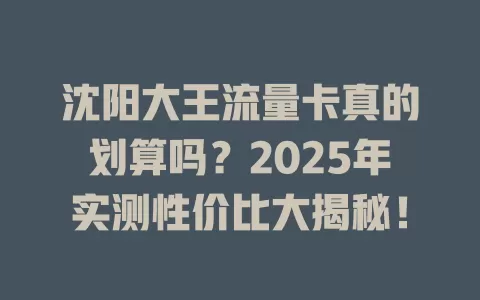 沈阳大王流量卡真的划算吗？2025年实测性价比大揭秘！