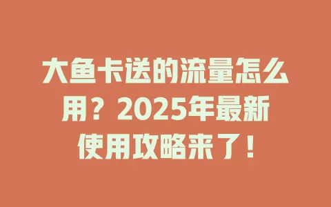 大鱼卡送的流量怎么用？2025年最新使用攻略来了！