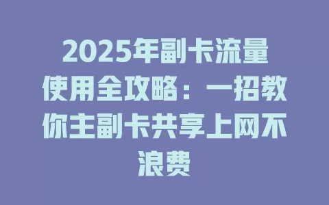 2025年副卡流量使用全攻略：一招教你主副卡共享上网不浪费