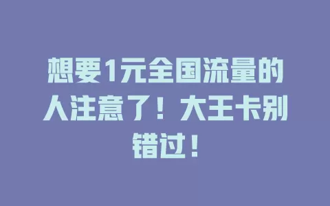 想要1元全国流量的人注意了！大王卡别错过！