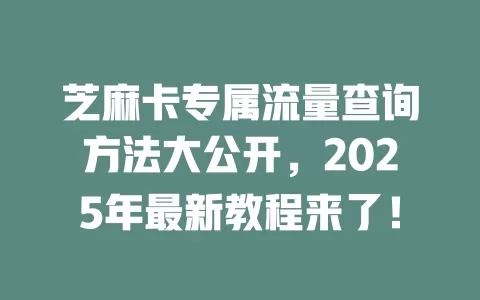 芝麻卡专属流量查询方法大公开，2025年最新教程来了！