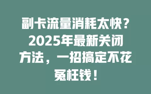 副卡流量消耗太快？2025年最新关闭方法，一招搞定不花冤枉钱！