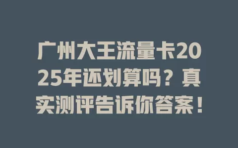 广州大王流量卡2025年还划算吗？真实测评告诉你答案！