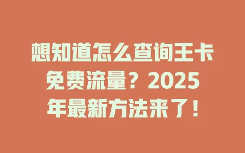 想知道怎么查询王卡免费流量？2025年最新方法来了！