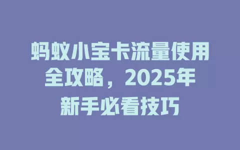 蚂蚁小宝卡流量使用全攻略，2025年新手必看技巧