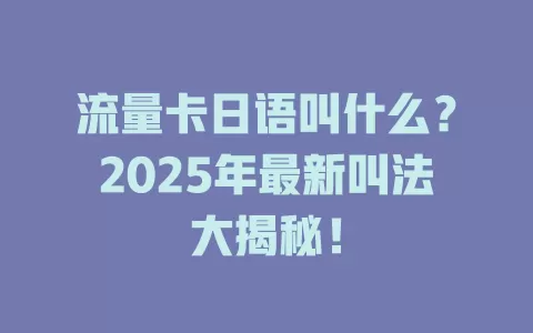 流量卡日语叫什么？2025年最新叫法大揭秘！