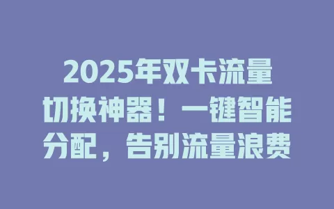 2025年双卡流量切换神器！一键智能分配，告别流量浪费
