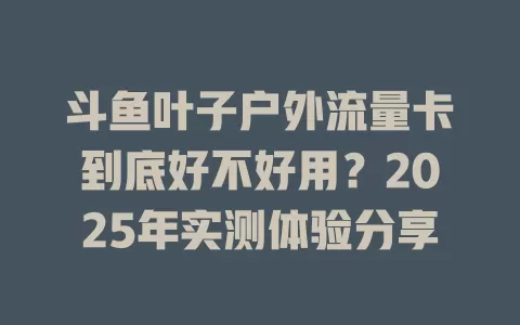 斗鱼叶子户外流量卡到底好不好用？2025年实测体验分享