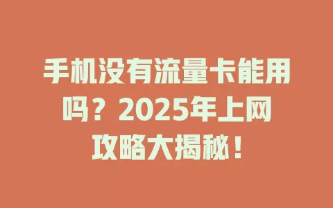 手机没有流量卡能用吗？2025年上网攻略大揭秘！