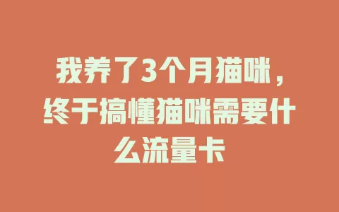 我养了3个月猫咪，终于搞懂猫咪需要什么流量卡