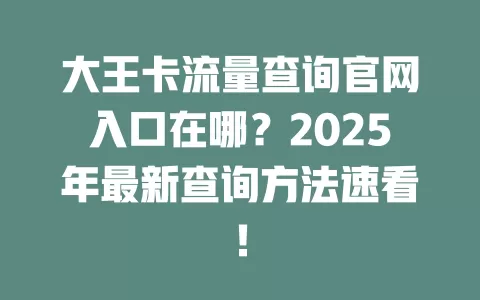 大王卡流量查询官网入口在哪？2025年最新查询方法速看！