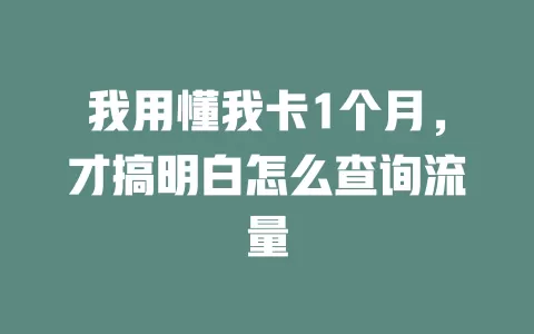 我用懂我卡1个月，才搞明白怎么查询流量