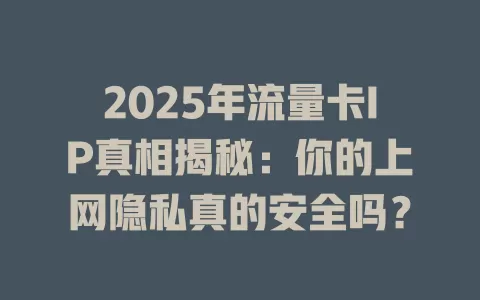 2025年流量卡IP真相揭秘：你的上网隐私真的安全吗？