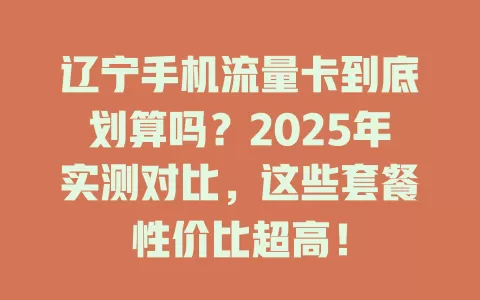 辽宁手机流量卡到底划算吗？2025年实测对比，这些套餐性价比超高！