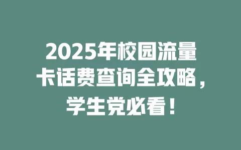2025年校园流量卡话费查询全攻略，学生党必看！