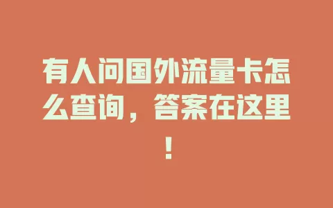 有人问国外流量卡怎么查询，答案在这里！