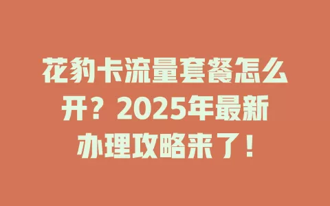 花豹卡流量套餐怎么开？2025年最新办理攻略来了！