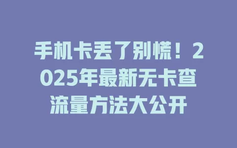 手机卡丢了别慌！2025年最新无卡查流量方法大公开