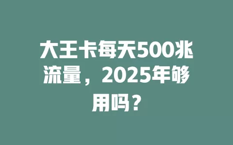 大王卡每天500兆流量，2025年够用吗？