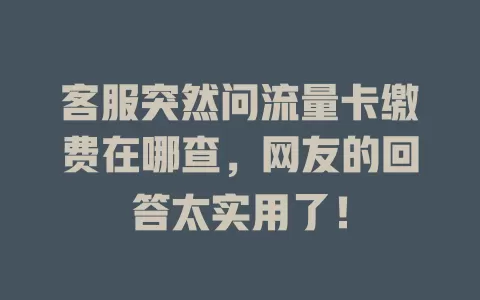 客服突然问流量卡缴费在哪查，网友的回答太实用了！