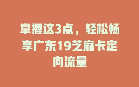 掌握这3点，轻松畅享广东19芝麻卡定向流量