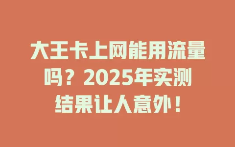 大王卡上网能用流量吗？2025年实测结果让人意外！