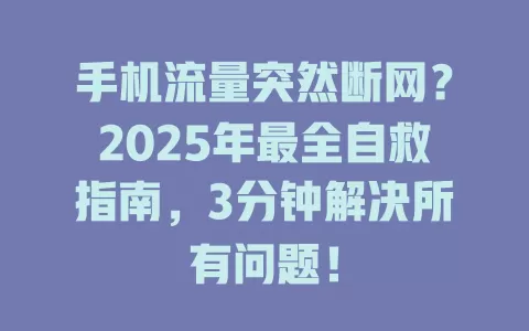 手机流量突然断网？2025年最全自救指南，3分钟解决所有问题！