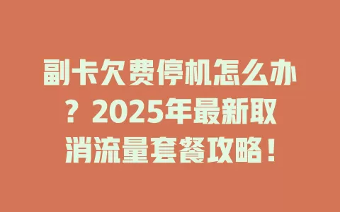 副卡欠费停机怎么办？2025年最新取消流量套餐攻略！