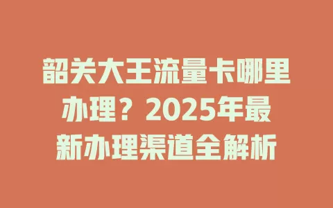 韶关大王流量卡哪里办理？2025年最新办理渠道全解析