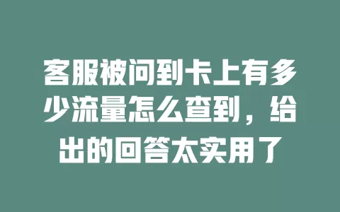 客服被问到卡上有多少流量怎么查到，给出的回答太实用了